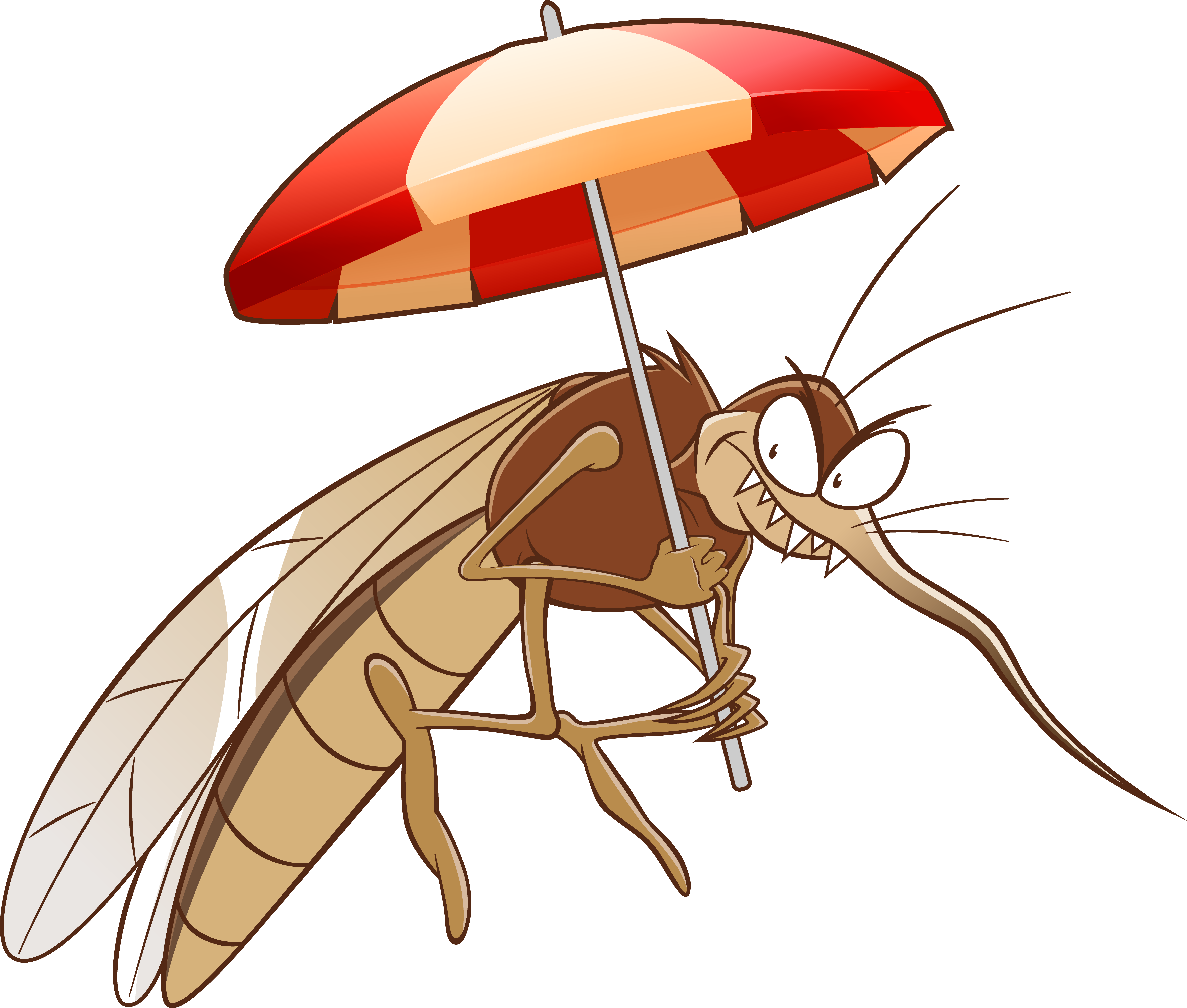 Árnyék És Rovarháló